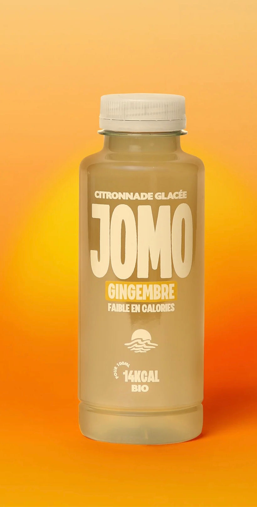 Citronnade Glacée  Gingembre  350 ml