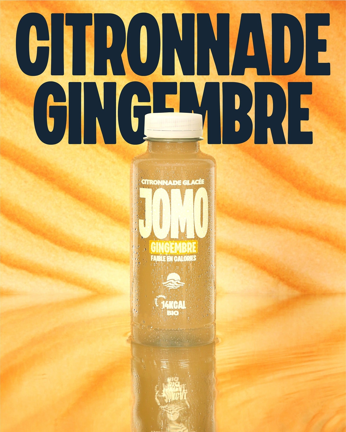 Citronnade Glacée  Gingembre  350 ml