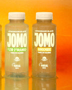 Citronnade Glacée  Gingembre  350 ml